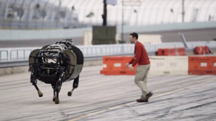 When robots go to war