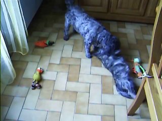 Chanel et Jaudy à 11h ce matin