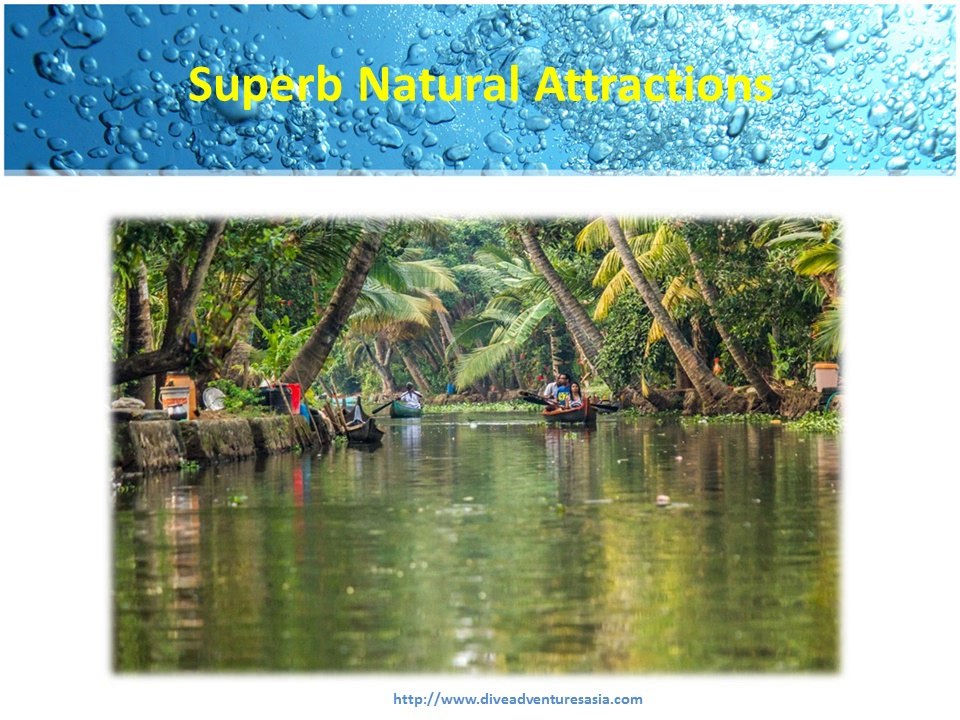 Black Manta Liveaboard