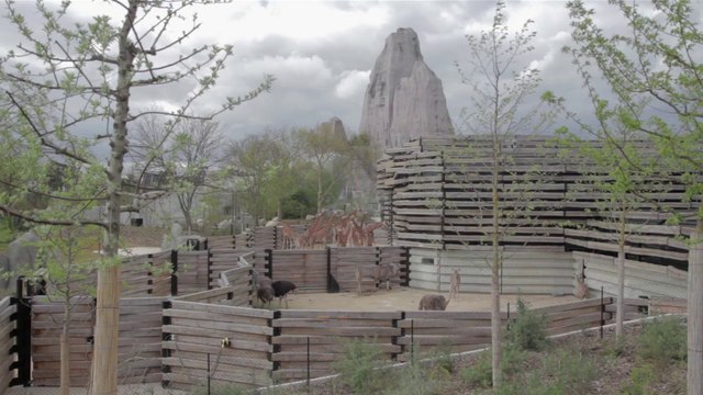 #44 Parc Zoologique de Paris, Paris 12