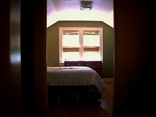 Strays Don't Sleep For Blue Sky