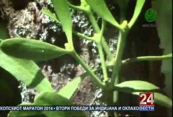 Второ мислење 10-05-2014