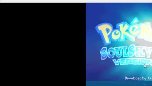Pokemon Soulsilver Randomizer