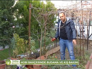 Hobi Bahçesi Bakımı - 1.bölüm