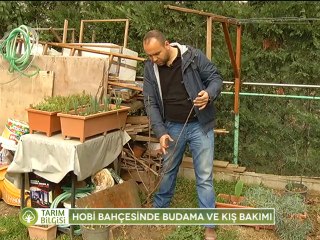 Hobi Bahçesi Bakımı - 2.bölüm