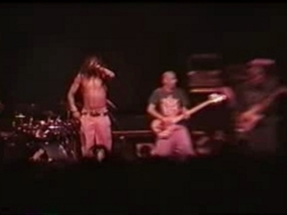 (hed) p.e suite-pee (S.O.A.D. cover)