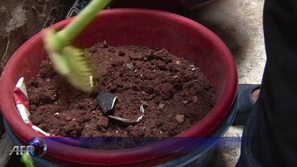 انطوانيت وسبيع شقيقان امضيا عامين تحت الحصار في حمص القديمة