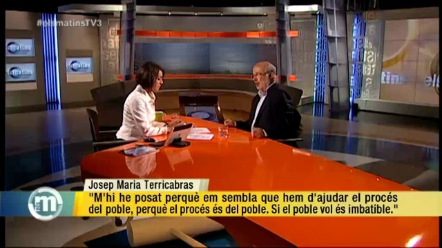 TV3 - Els Matins - Terricabras: S'ha de fer la consulta encara que no hi hagi acord amb Madrid ni
