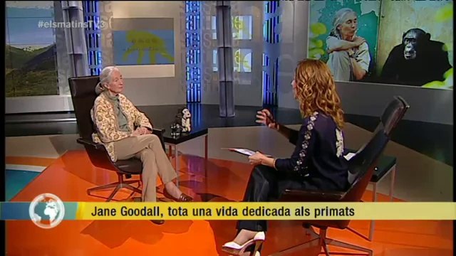 TV3 - Els Matins - Jane Goodall: Si no canviem les nostres actituds, el futur de la natura no pint