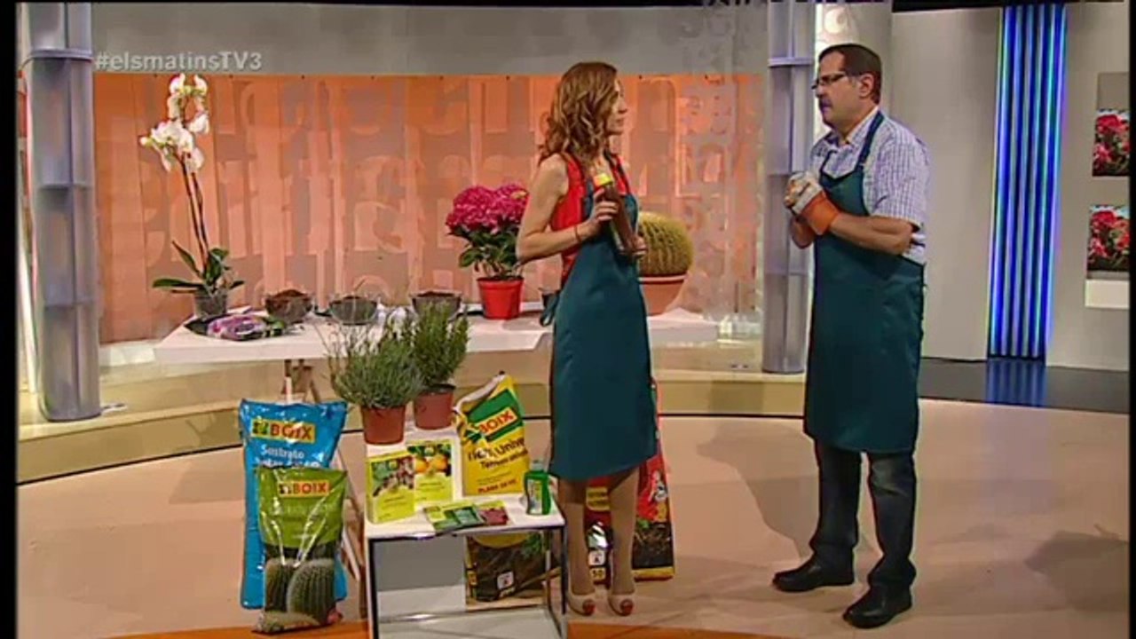 TV3 - Els Matins - Mimar les plantes amb bons adobs