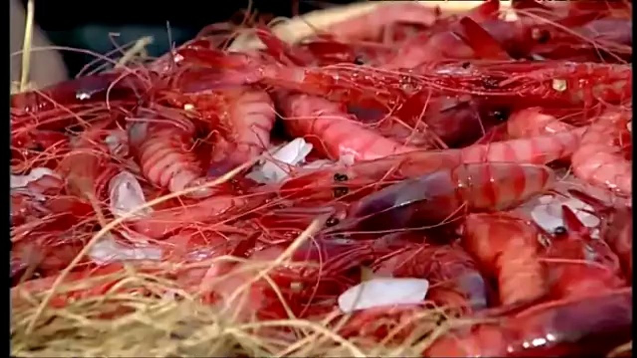 TV3 - Divendres - Propietats nutricionals de les gambes i els escamarlans