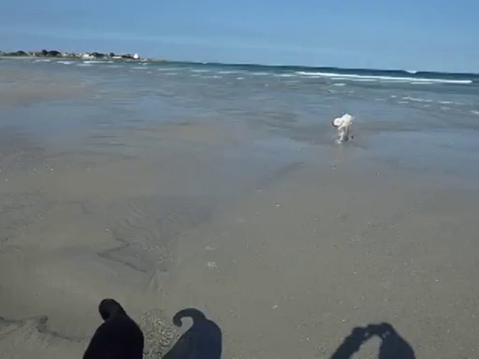 Encore Fidji et Idunn à Pors Carn