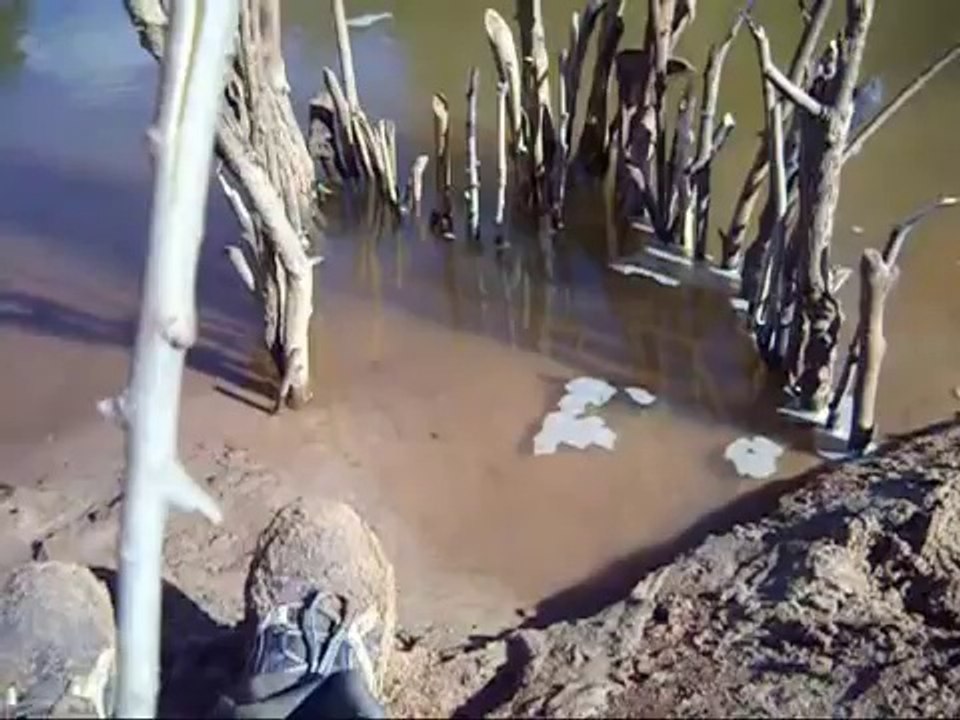 Comment faire un piège à poissons ?