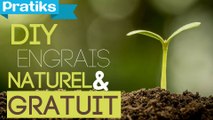 Comment faire un engrais naturel et gratuit