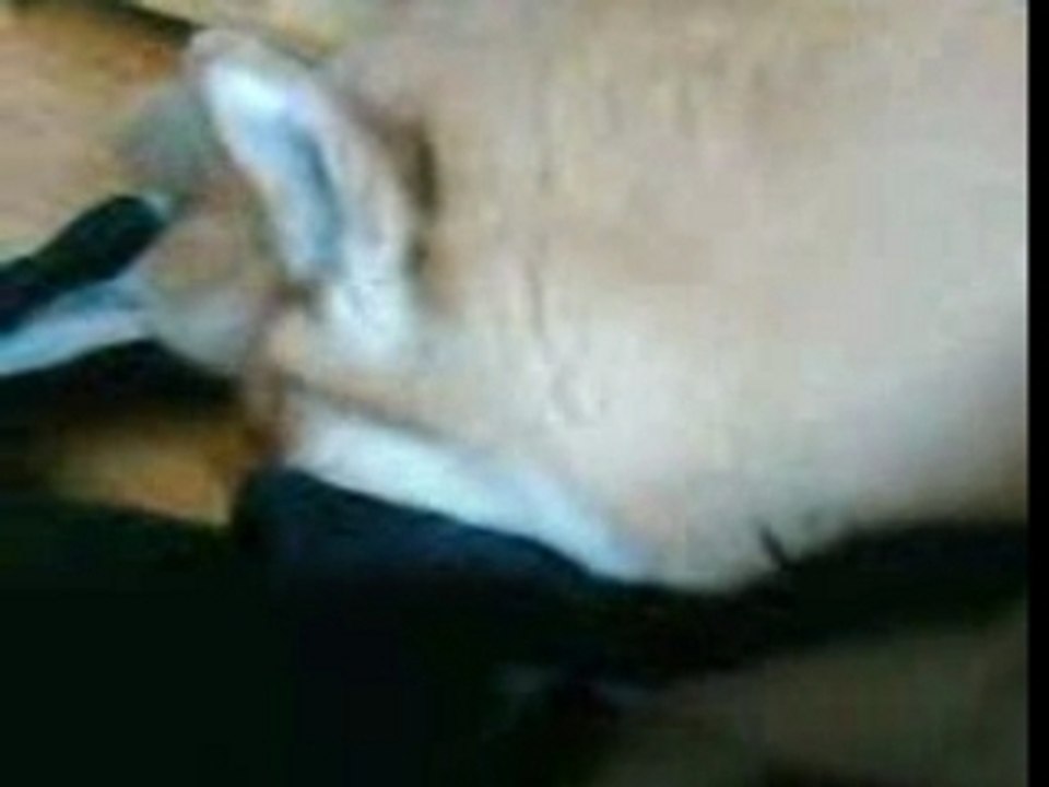 VID008