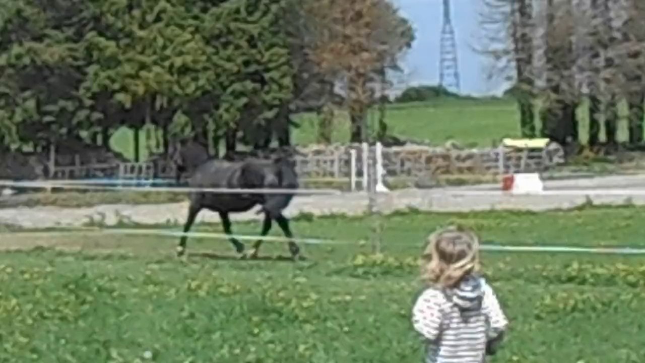 DSCN0715