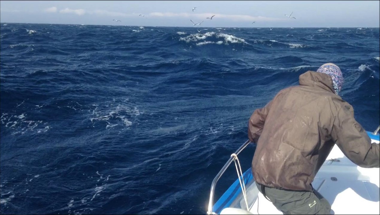 Xtrem Fly Fishing