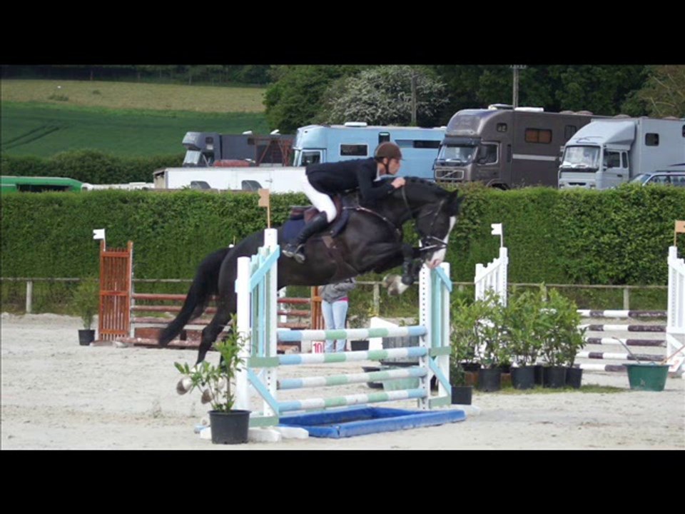 AMBRE D'ELINCOURT, mâle SF noir né en 2010 en CSO