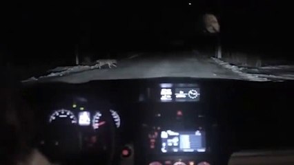 Bu Devirde Çarptığın Köpeğe Bile Güvenmeyeceksin