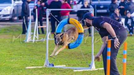 The Write Way To Better Website Traffic Results