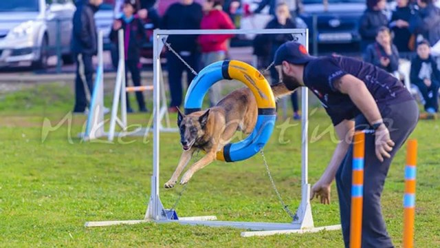 The Write Way To Better Website Traffic Results