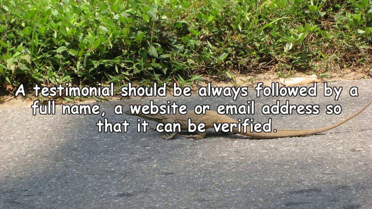 Education is the Key for Success in Internet Marketing