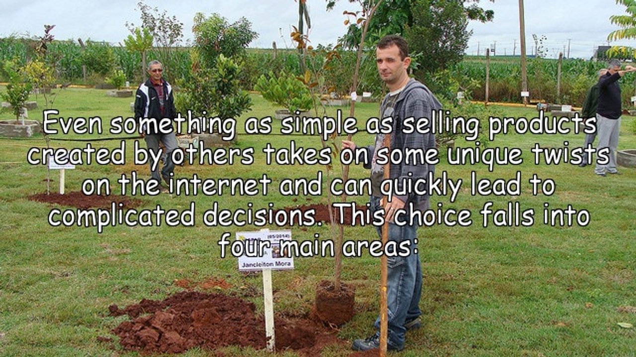 The only way to make money on the internet