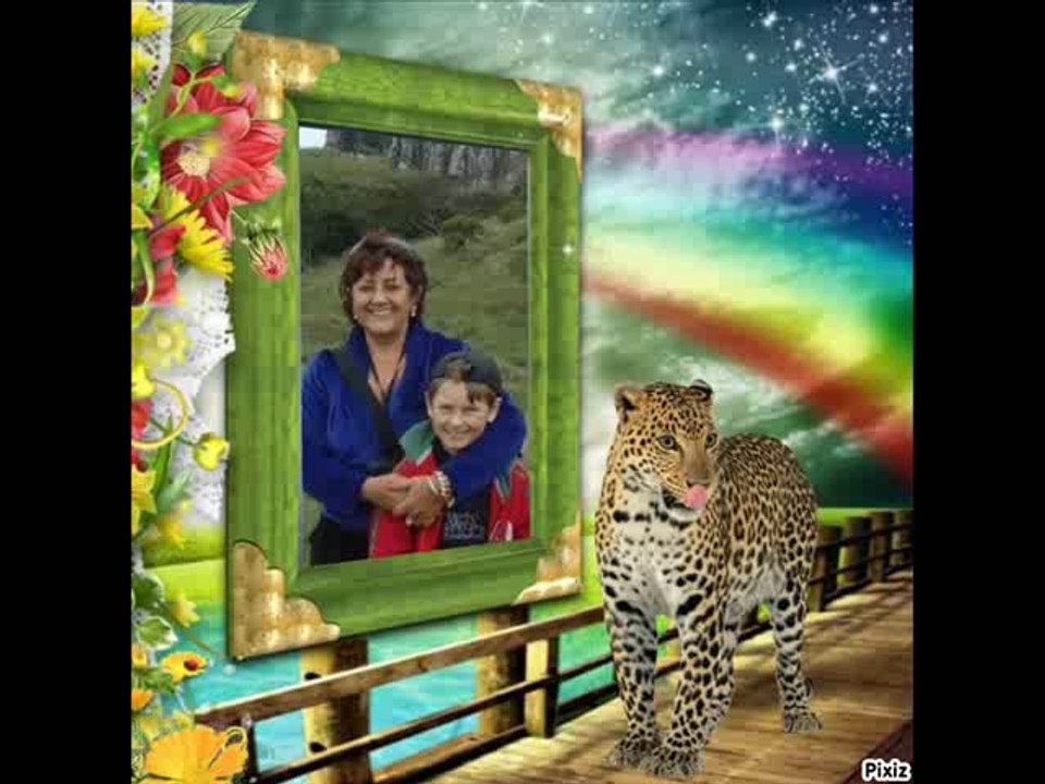 SELONİ FERNANDEZ