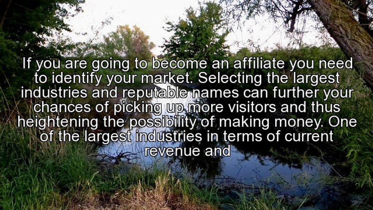 Sports Betting Affiliates: Taking Affiliate Commissions Seriously