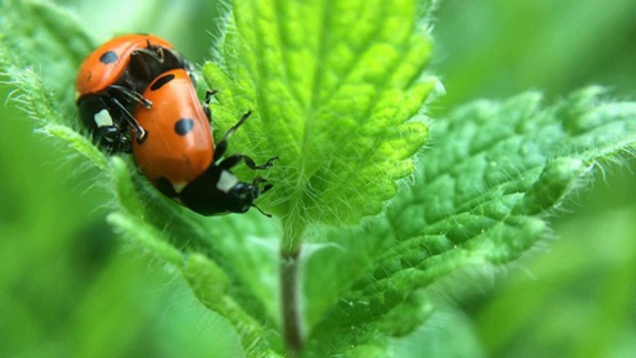 Adwords Top Tips: Create Your Own Adwords Miracle!