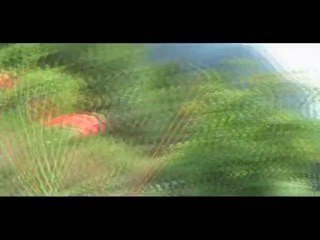 12.08.2010 - Envol à Cagnourine (Tende)