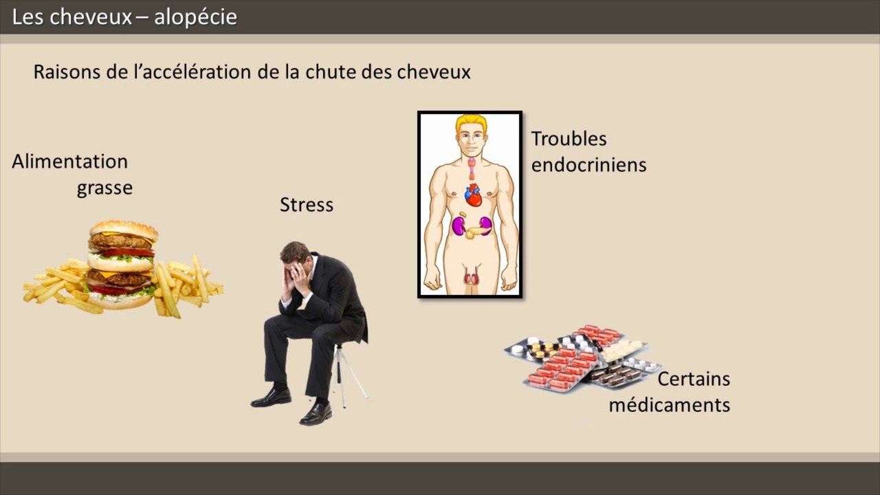 Chute des cheveux, pourquoi devient-on chauve ?