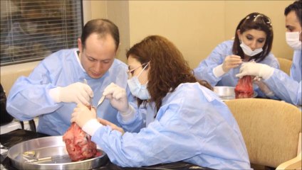 14-16 Mart 2014 KEMİK VE YUMUŞAK DOKU CERRAHİSİNDEKİ İNCELİKLER VE PÜF NOKTALARI