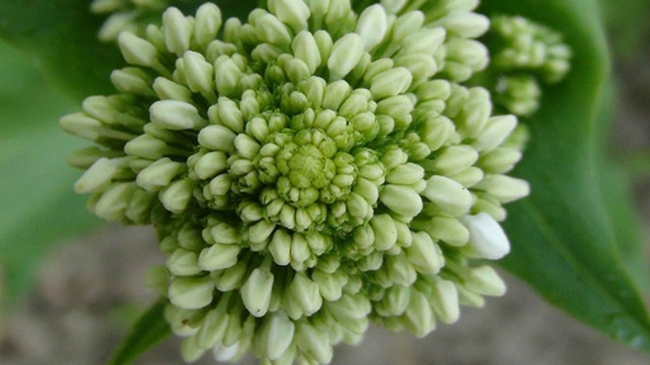 Are Autoresponders really that important to internet marketing?