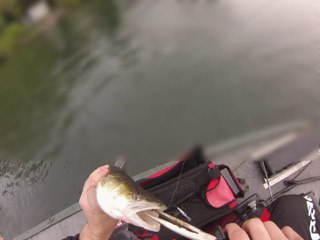 Partie de pêche à Pareloup