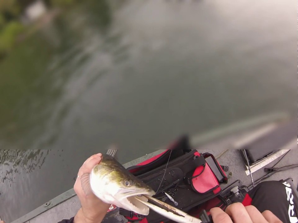 Partie de pêche à Pareloup