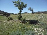 Site naturel et archéologique,environs d'El Hachimia.   موقع طبيعي و أثري في ناحية الهاشمية