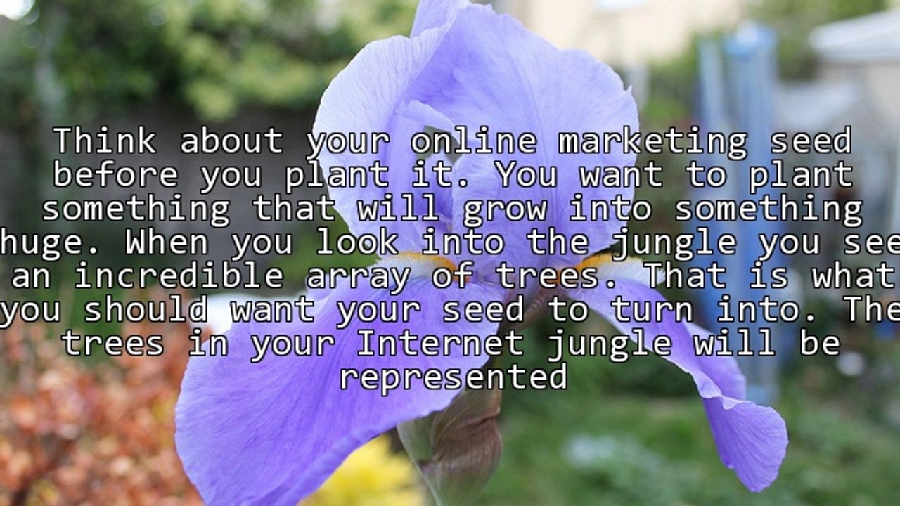 An Internet Marketing Seed