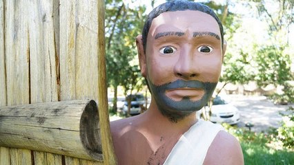 How to get a Website Indexed Fast