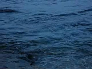 Les vagues à Grand Anse