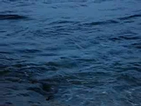 Les vagues à Grand Anse