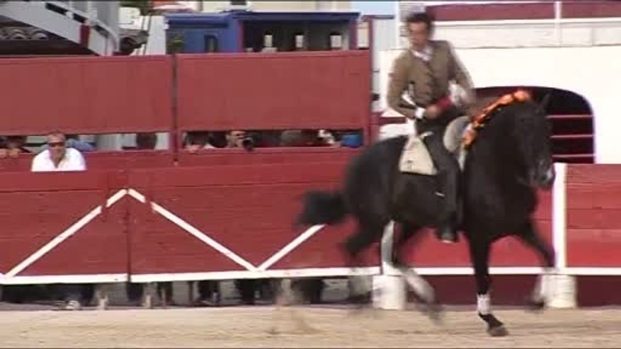 Les temps forts de la feria de la Mer (Palavas-les-Flots)
