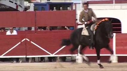 Les temps forts de la feria de la Mer (Palavas-les-Flots)