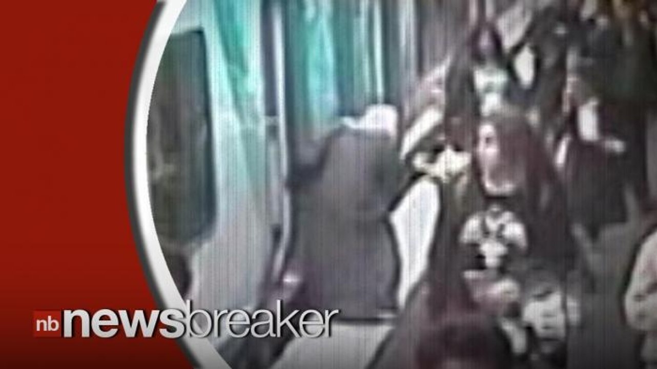 Toddler Caught on Tape Surviving Fall in Gap Between Platform and Train