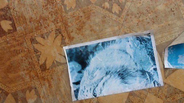 How To Spice Up A Boring Blog Life!