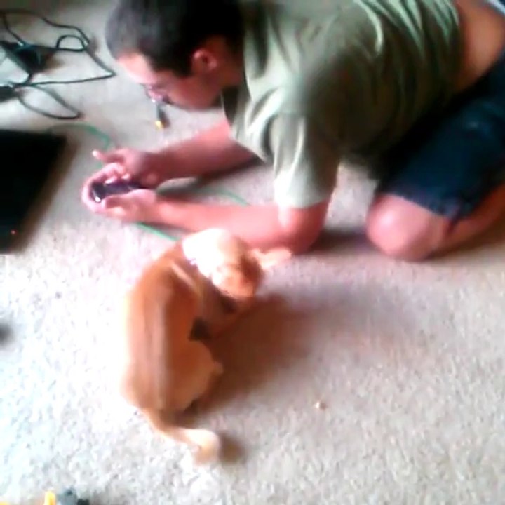My brother playing with Blossom