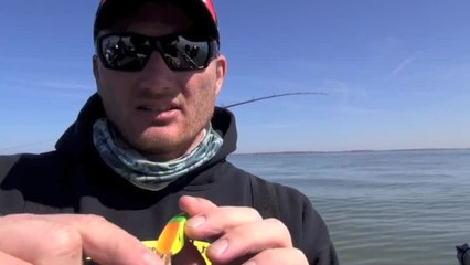 Walleye Tip: Tune Those Cranks Right
