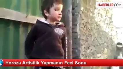 Horoza Artistlik Yapmanın Feci Sonu
