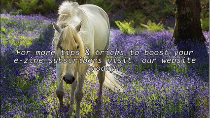 10 Ways To Boost Your E-zine Subscribers