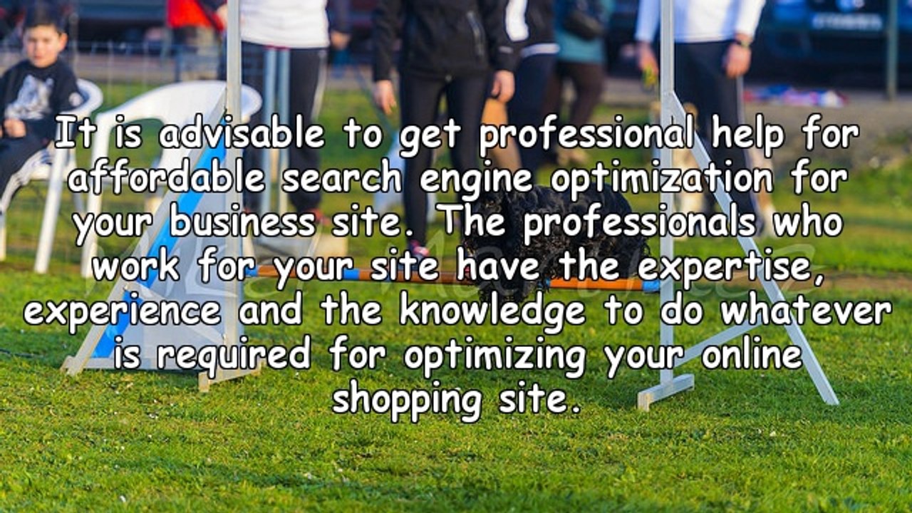 Affordable Search Engine Optimization for Unprecedented Business Leads